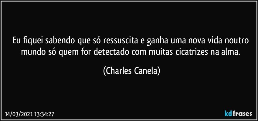 Eu fiquei sabendo que só ressuscita e ganha uma nova vida noutro mundo só quem for detectado com muitas cicatrizes na alma. (Charles Canela)