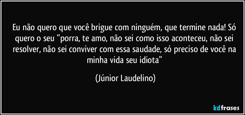 Eu não quero que você brigue com ninguém, que termine nada! Só quero o seu “porra, te amo, não sei como isso aconteceu, não sei resolver, não sei conviver com essa saudade, só preciso de você na minha vida seu idiota” (Júnior Laudelino)