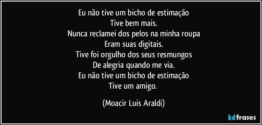 Eu não tive um bicho de estimação
Tive bem mais.
Nunca reclamei dos pelos na minha roupa
Eram suas digitais.
Tive foi orgulho dos seus resmungos
De alegria quando me via.
Eu não tive um bicho de estimação
Tive um amigo. (Moacir Luís Araldi)