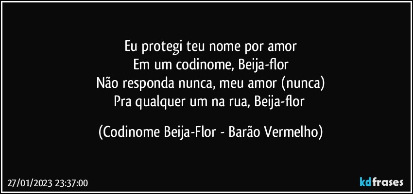 Eu protegi teu nome por amor
Em um codinome, Beija-flor
Não responda nunca, meu amor (nunca)
Pra qualquer um na rua, Beija-flor (Codinome Beija-Flor - Barão Vermelho)