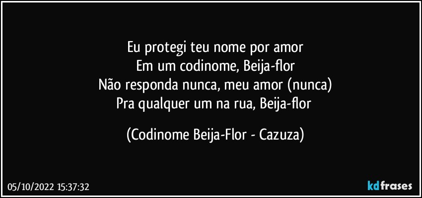 Eu protegi teu nome por amor
Em um codinome, Beija-flor
Não responda nunca, meu amor (nunca)
Pra qualquer um na rua, Beija-flor (Codinome Beija-Flor - Cazuza)