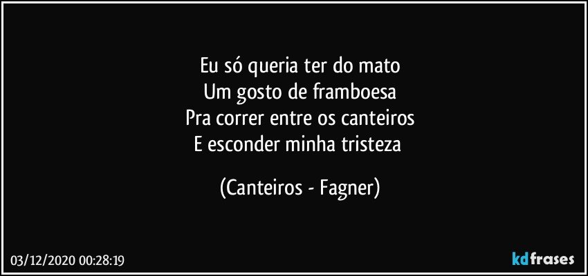 Eu só queria ter do mato
Um gosto de framboesa
Pra correr entre os canteiros
E esconder minha tristeza (Canteiros - Fagner)