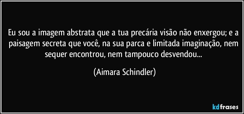 Eu sou a imagem abstrata que a tua precária visão não enxergou; e a paisagem secreta que você, na sua parca e limitada imaginação, nem sequer encontrou, nem tampouco desvendou... (Aimara Schindler)