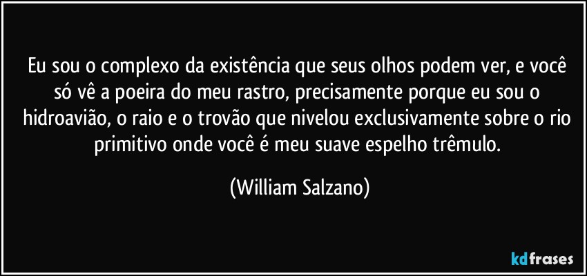 Eu sou o complexo da existência que seus olhos podem ver, e você só vê a poeira do meu rastro, precisamente porque eu sou o hidroavião, o raio e o trovão que nivelou exclusivamente sobre o rio primitivo onde você é meu suave espelho trêmulo. (William Salzano)