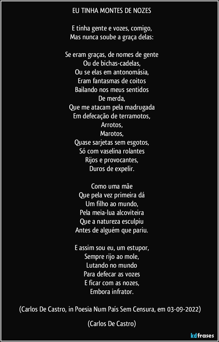 EU TINHA MONTES DE NOZES

E tinha gente e vozes, comigo,
Mas nunca soube a graça delas:

Se eram graças, de nomes de gente
Ou de bichas-cadelas,
Ou se elas em antonomásia,
Eram fantasmas de coitos
Bailando nos meus sentidos
De merda,
Que me atacam pela madrugada
Em defecação de terramotos,
Arrotos,
Marotos,
Quase sarjetas sem esgotos,
Só com vaselina rolantes
Rijos e provocantes,
Duros de expelir.

Como uma mãe
Que pela vez primeira dá
Um filho ao mundo,
Pela meia-lua alcoviteira
Que a natureza esculpiu
Antes de alguém que pariu.

E assim sou eu, um estupor,
Sempre rijo ao mole,
Lutando no mundo
Para defecar as vozes
E ficar com as nozes,
Embora infrator.

(Carlos De Castro, in Poesia Num País Sem Censura, em 03-09-2022)⁠ (Carlos De Castro)