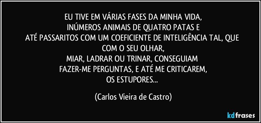 EU TIVE EM VÁRIAS FASES DA MINHA VIDA,
INÚMEROS ANIMAIS DE QUATRO PATAS E
ATÉ PASSARITOS COM UM COEFICIENTE DE INTELIGÊNCIA TAL, QUE COM O SEU OLHAR,
MIAR, LADRAR OU TRINAR, CONSEGUIAM 
FAZER-ME PERGUNTAS, E ATÉ ME CRITICAREM,
OS ESTUPORES... (Carlos Vieira de Castro)