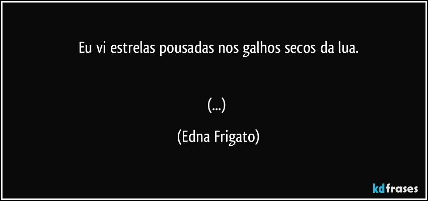 Eu vi estrelas pousadas nos galhos secos da lua.


(...) (Edna Frigato)