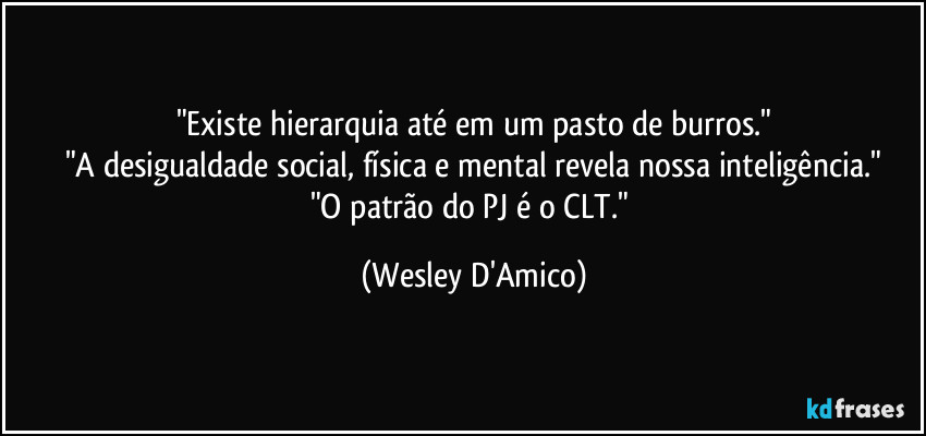 "Existe hierarquia até em um pasto de burros."
"A desigualdade social, física e mental revela nossa inteligência."
"O patrão do PJ é o CLT." (Wesley D'Amico)