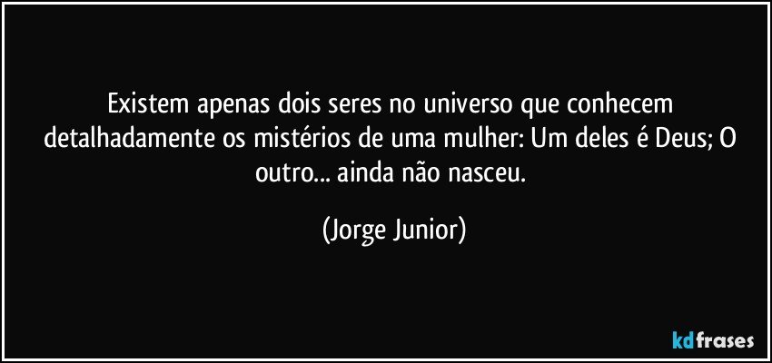 Existem apenas dois seres no universo que conhecem detalhadamente os mistérios de uma mulher: Um deles é Deus; O outro... ainda não nasceu. (Jorge Junior)
