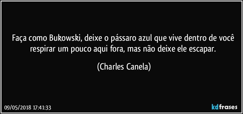 Faça como Bukowski, deixe o pássaro azul que vive dentro de você respirar um pouco aqui fora, mas não deixe ele escapar. (Charles Canela)