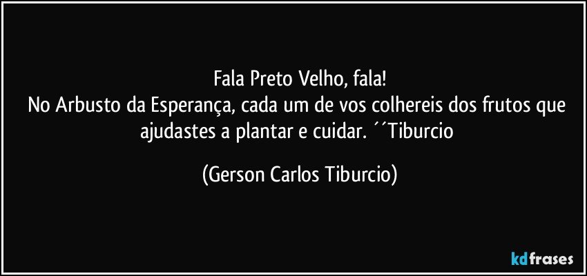 Fala Preto Velho, fala!
No Arbusto da Esperança, cada um de vos colhereis dos frutos que ajudastes a plantar e cuidar. ´´Tiburcio (Gerson Carlos Tiburcio)