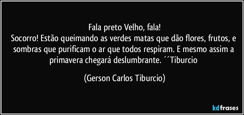 Fala preto Velho, fala!
Socorro! Estão queimando as verdes matas que dão flores, frutos, e sombras que purificam o ar que todos respiram. E mesmo assim a primavera chegará deslumbrante. ´´Tiburcio (Gerson Carlos Tiburcio)