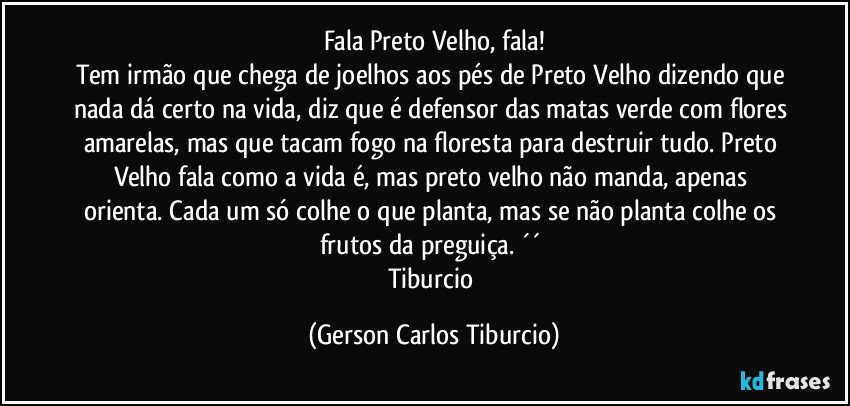 Fala Preto Velho, fala!
Tem irmão que chega de joelhos aos pés de Preto Velho dizendo que nada dá certo na vida, diz que é defensor das matas verde com flores amarelas, mas que tacam fogo na floresta para destruir tudo. Preto Velho fala como a vida é, mas preto velho não manda, apenas orienta. Cada um só colhe o que planta, mas se não planta colhe os frutos da preguiça. ´´ 
Tiburcio (Gerson Carlos Tiburcio)