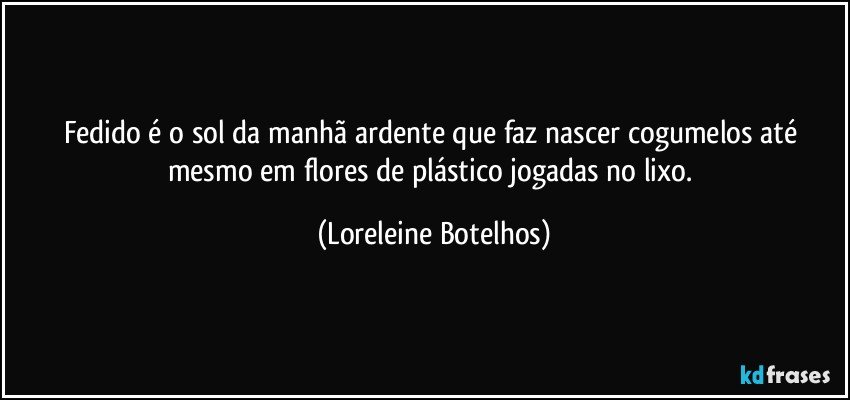 Fedido é o sol da manhã ardente que faz nascer cogumelos até mesmo em flores de plástico jogadas no lixo. (Loreleine Botelhos)