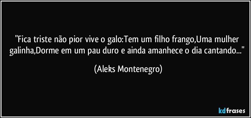 "Fica triste não pior vive o galo:Tem um filho frango,Uma mulher galinha,Dorme em um pau duro e ainda amanhece o dia cantando..." (Aleks Montenegro)