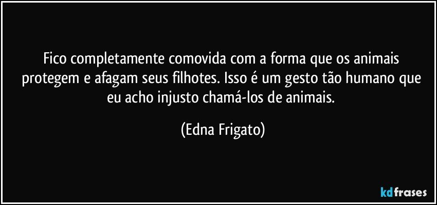 Fico completamente comovida com a forma que os animais protegem e afagam seus filhotes. Isso é um gesto tão humano que eu acho injusto chamá-los de animais. (Edna Frigato)