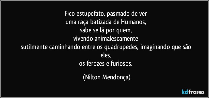 Fico estupefato, pasmado de ver 
uma raça batizada de Humanos, 
sabe se lá por quem, 
vivendo animalescamente 
sutilmente caminhando entre os quadrupedes, imaginando que são eles, 
os ferozes e furiosos. (Nilton Mendonça)