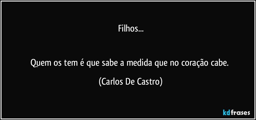 Filhos...


Quem os tem é que sabe a medida que no coração cabe. (Carlos De Castro)