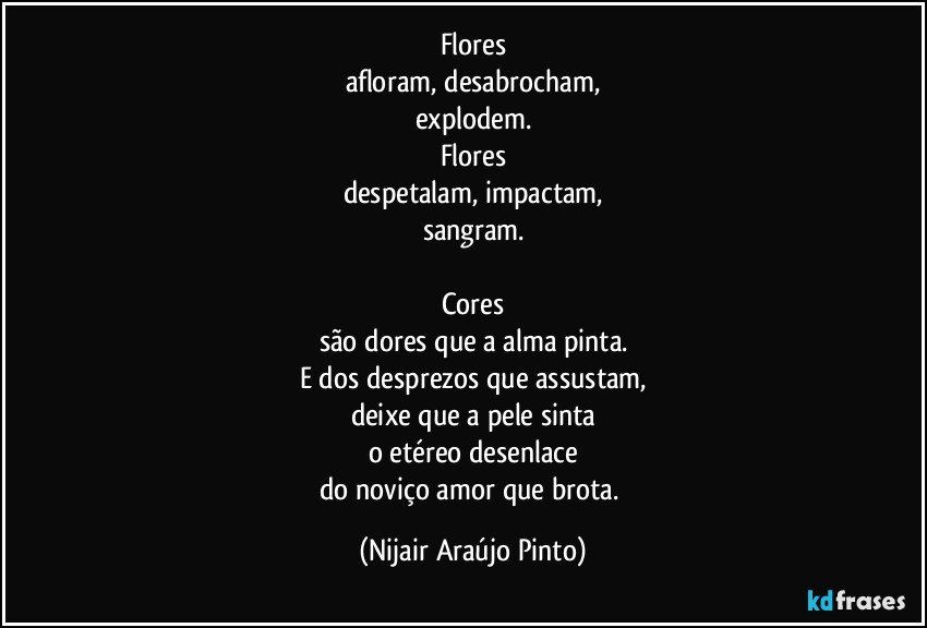 Flores
afloram, desabrocham,
explodem.
Flores
despetalam, impactam,
sangram.

Cores
são dores que a alma pinta.
E dos desprezos que assustam,
deixe que a pele sinta
o etéreo desenlace
do noviço amor que brota. (Nijair Araújo Pinto)