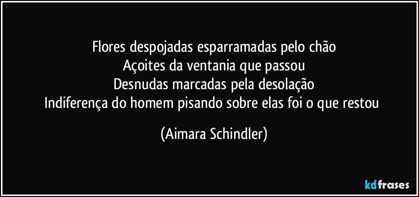 Flores despojadas esparramadas pelo chão
Açoites da ventania que passou
Desnudas marcadas pela desolação
Indiferença do homem pisando sobre elas foi o que restou (Aimara Schindler)