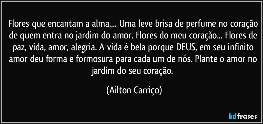 Flores que encantam a alma... Uma leve brisa de perfume no coração de quem entra no jardim do amor. Flores do meu coração... Flores de paz, vida, amor, alegria. A vida é bela porque DEUS, em seu infinito amor deu forma e formosura para cada um de nós. Plante o amor no jardim do seu coração. (Ailton Carriço)