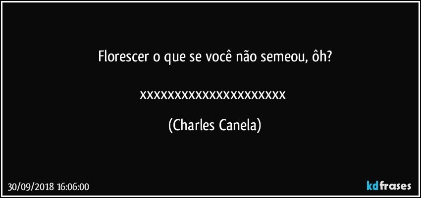 Florescer o que se você não semeou, ôh?

xxxxxxxxxxxxxxxxxxxxx (Charles Canela)