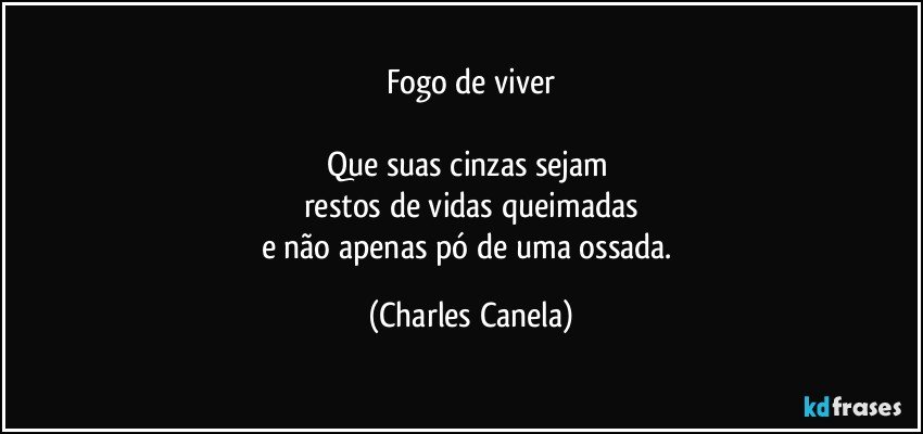 Fogo de viver

Que suas cinzas sejam 
restos de vidas queimadas
e não apenas pó de uma ossada. (Charles Canela)