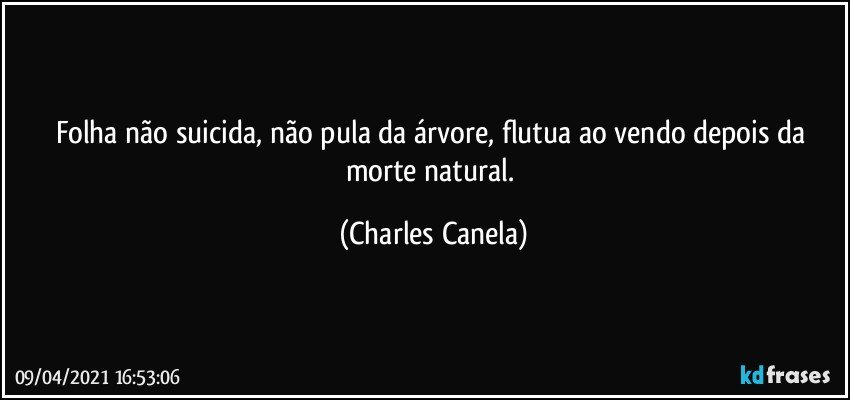 Folha não suicida, não pula da árvore, flutua ao vendo depois da morte natural. (Charles Canela)