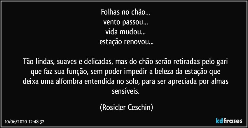 Folhas no chão... 
vento passou... 
vida mudou... 
estação renovou...

Tão lindas, suaves e delicadas, mas do  chão serão retiradas pelo gari que faz sua função,  sem poder  impedir a beleza da estação que  deixa uma alfombra entendida no solo, para ser apreciada por almas sensíveis. (Rosicler Ceschin)