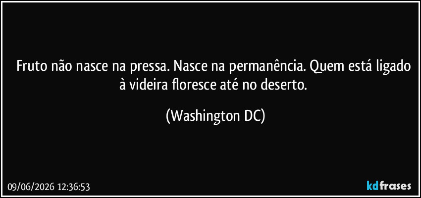 Fruto não nasce na pressa. Nasce na permanência. Quem está ligado à videira floresce até no deserto. (Washington DC)
