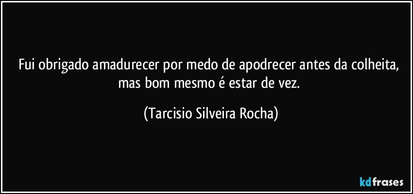 Fui obrigado amadurecer por medo de apodrecer antes da colheita, mas bom mesmo é estar de vez. (Tarcisio Silveira Rocha)