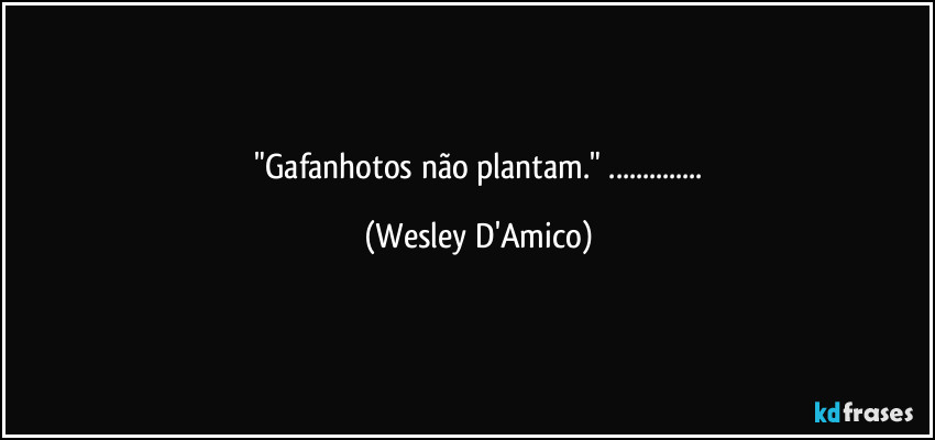 ⁠"Gafanhotos não plantam." ... (Wesley D'Amico)
