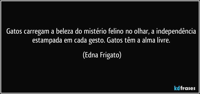 Gatos carregam a beleza do mistério felino no olhar, a independência estampada em cada gesto. Gatos têm a alma livre. (Edna Frigato)