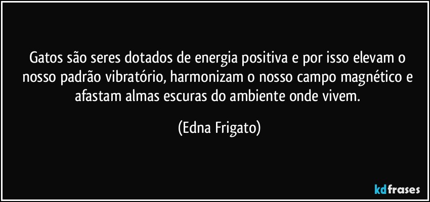 Gatos são seres dotados de energia positiva e por isso elevam o nosso padrão vibratório, harmonizam o nosso campo magnético e afastam almas escuras do ambiente onde vivem. (Edna Frigato)