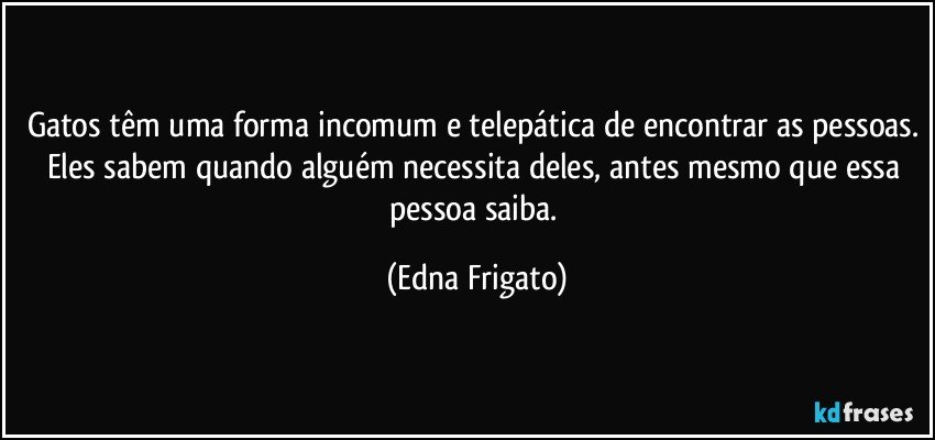 Gatos têm uma forma incomum e telepática de encontrar as pessoas. Eles sabem quando alguém necessita deles, antes mesmo que essa pessoa saiba. (Edna Frigato)