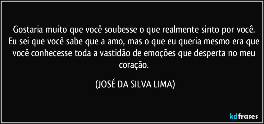 Gostaria muito que você soubesse o que realmente sinto por você. Eu sei que você sabe que a amo, mas o que eu queria mesmo era que você conhecesse toda a vastidão de emoções que desperta no meu coração. (JOSÉ DA SILVA LIMA)