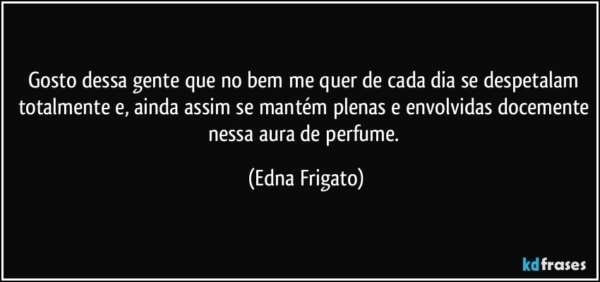 Gosto dessa gente que no bem me quer de cada dia se despetalam totalmente e, ainda assim se mantém plenas e envolvidas docemente nessa aura de perfume. (Edna Frigato)