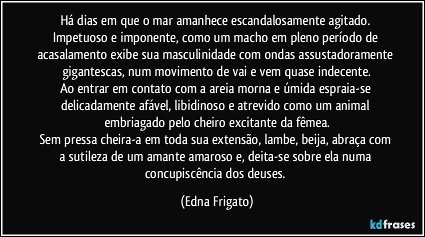 Há dias em que o mar amanhece escandalosamente agitado. Impetuoso e imponente, como um macho em pleno período de acasalamento exibe sua masculinidade com ondas assustadoramente gigantescas, num movimento de vai e vem quase indecente.
Ao entrar em contato com a areia morna e úmida espraia-se delicadamente afável, libidinoso e atrevido como um animal embriagado pelo cheiro excitante da fêmea.
Sem pressa cheira-a em toda sua extensão, lambe, beija, abraça com a sutileza de um amante amaroso e, deita-se sobre ela numa concupiscência dos deuses. (Edna Frigato)