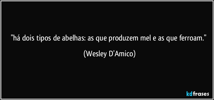"há dois tipos de abelhas: as que produzem mel e as que ferroam." (Wesley D'Amico)