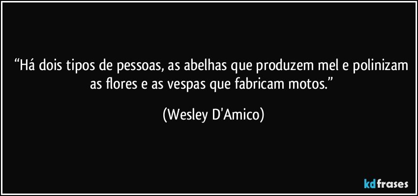 “Há dois tipos de pessoas, as abelhas que produzem mel e polinizam as flores e as vespas que fabricam motos.” (Wesley D'Amico)