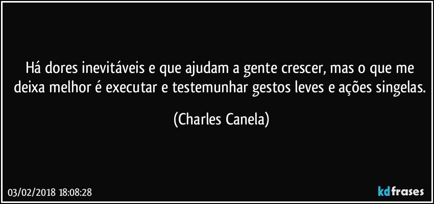 Há dores inevitáveis e que ajudam a gente crescer, mas o que me deixa melhor é executar e testemunhar gestos leves e ações singelas. (Charles Canela)