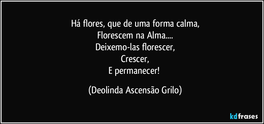 Há flores, que de uma forma calma,
Florescem na Alma...
Deixemo-las florescer,
Crescer,
E permanecer! (Deolinda Ascensão Grilo)