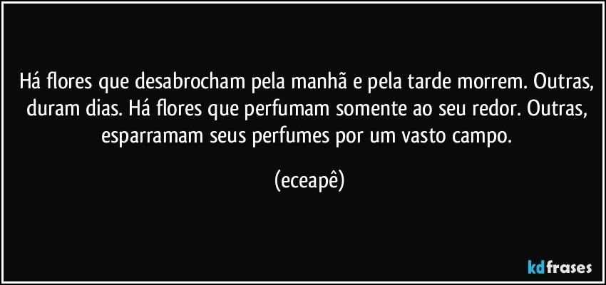 Há flores que desabrocham pela manhã e pela tarde morrem. Outras, duram dias. Há flores que perfumam somente ao seu redor. Outras, esparramam seus perfumes por um vasto campo. (eceapê)