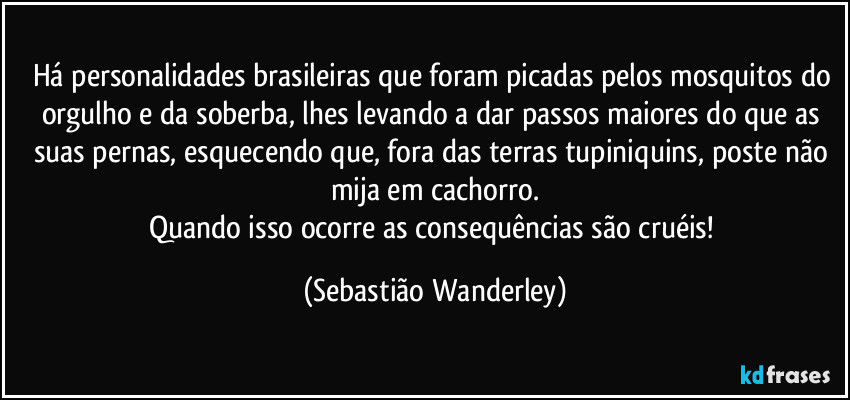 Há personalidades brasileiras que foram picadas pelos mosquitos do orgulho e da soberba, lhes levando a dar passos maiores do que as suas pernas, esquecendo que, fora das terras tupiniquins, poste não mija em cachorro.
Quando isso ocorre as consequências são cruéis! (Sebastião Wanderley)