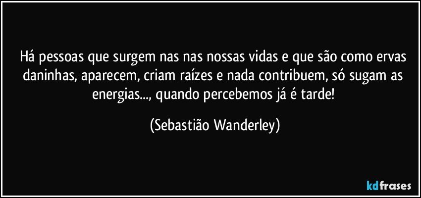 Há pessoas que surgem nas nas nossas vidas e que são como ervas daninhas, aparecem, criam raízes e nada contribuem, só sugam as energias..., quando percebemos já é tarde! (Sebastião Wanderley)