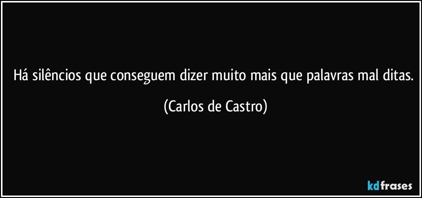 Há silêncios que conseguem dizer muito mais que palavras mal ditas. (Carlos de Castro)