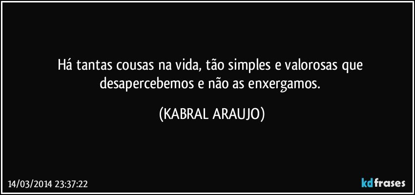 Há tantas cousas na vida, tão simples e valorosas que desapercebemos e não as enxergamos. (KABRAL ARAUJO)