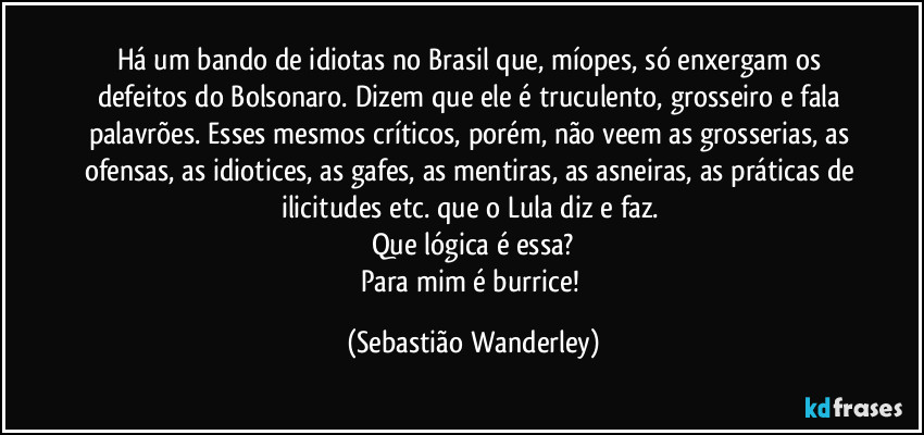 Há um bando de idiotas no Brasil que, míopes, só enxergam os defeitos do Bolsonaro. Dizem que ele é truculento, grosseiro e fala palavrões. Esses mesmos críticos, porém, não veem as grosserias, as ofensas, as idiotices, as gafes, as mentiras, as asneiras, as práticas de ilicitudes etc. que o Lula diz e faz. 
Que lógica é essa?
Para mim é burrice! (Sebastião Wanderley)