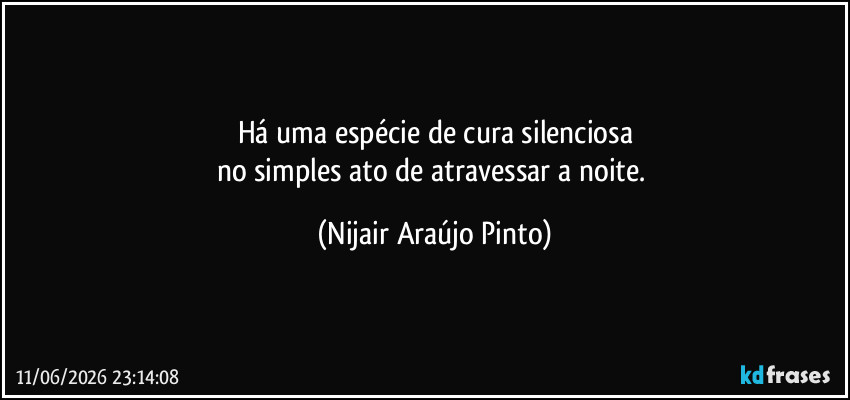 Há uma espécie de cura silenciosa
no simples ato de atravessar a noite. (Nijair Araújo Pinto)