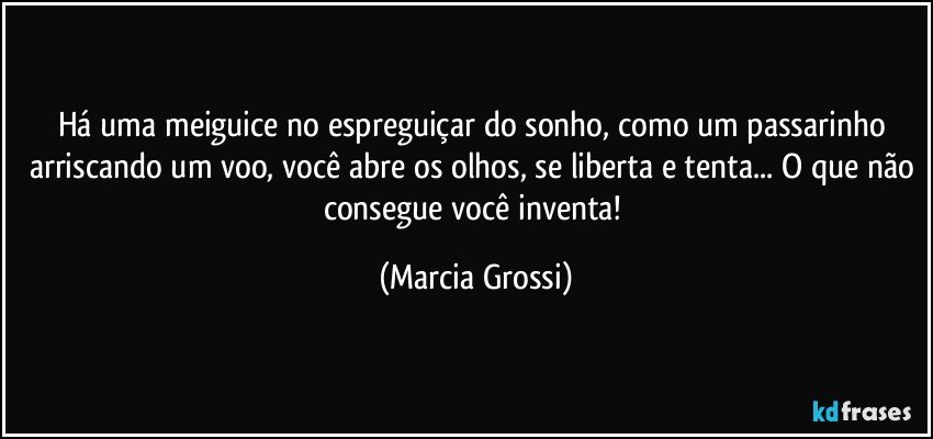 Há uma meiguice no espreguiçar do sonho, como um passarinho arriscando um voo, você abre os olhos, se liberta e tenta... O que não consegue você inventa! (Marcia Grossi)